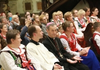294060_CiVO_IMG_7911_82