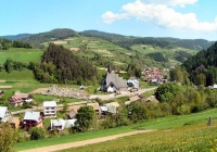 Parafia pw. Wniebowzięcia NMP